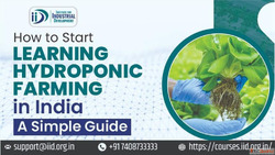 Complete Hydroponic Farming Course for Beginners
