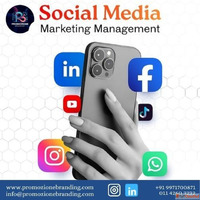 011-42603232 Web Development services in delhi