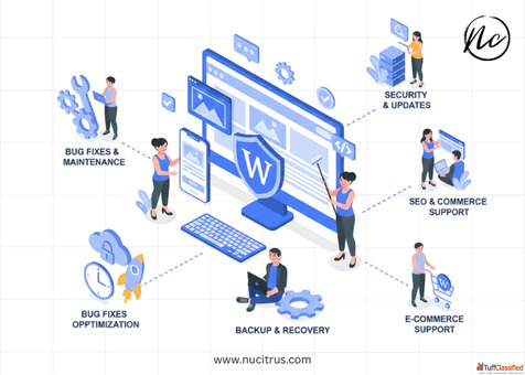 Wordpress Support Services