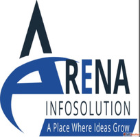 arena infosolution