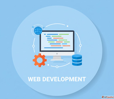 Who provides budget-friendly web development solutions