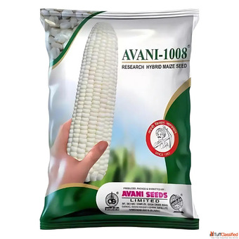 Top Maize Seeds Supplier in India