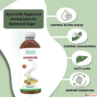 Ayurvedic Sugarcure Herbal juice for Balanced Sugar Levels
