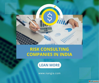 Trusted Risk Consulting Companies in India