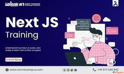 Master Next.js with Expert-Led Training for Developers