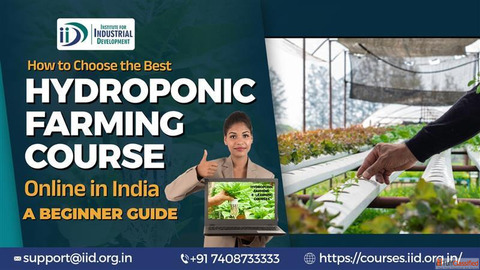 Best Hydroponic Farming Courses Online in India A Complete Guide for Beginners