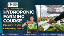 Best Hydroponic Farming Courses Online in India A Complete G...