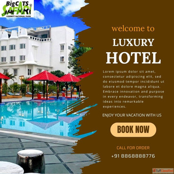 How to Increase Your Chances of Spotting a Tiger in Jim Corbett National Park