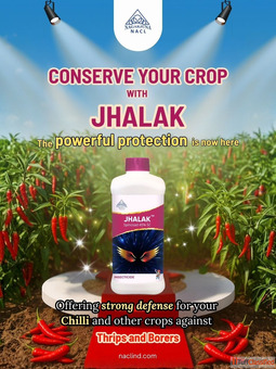 Jhalak - Powerful Agricultural Insecticides for Chili Crop