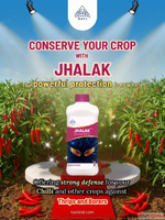 Jhalak - Powerful Agricultural Insecticides for Chili Crop