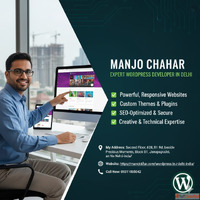 Creative WordPress Developer Building Modern Digital Experie...