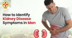 Early Kidney Disease Symptoms in Men - Expert Insights