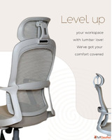 Premium Office Chairs Workstations - Mack Furniture India