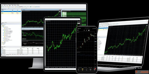 Why Traders Still Rely on the MT4 Web Platform for Trading