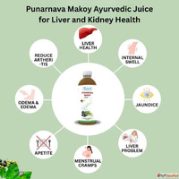 Punarnava Makoy Ayurvedic Juice for Liver and Kidney Health