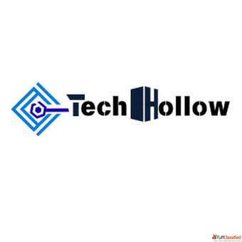 Digital Marketing Agency in India - Tech Hollow
