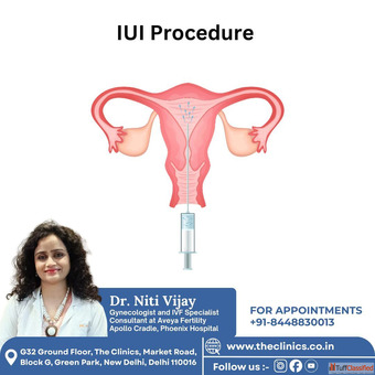 Dr. Niti Vijay - Gynecologist IVF Specialist