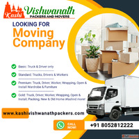 Hassle-free Relocation with Top-Rated Packers and Movers in ...