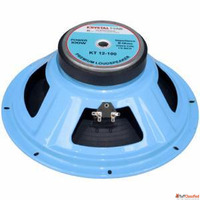 High Quality 12 Inch Ferrite DJ Speaker 100 Watt