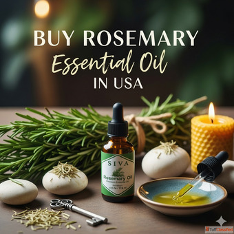 Best Rosemary Essential Oil in USA Florida