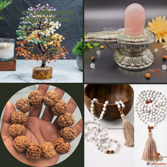 Discover Pure Rudraksha in Haridwar Buy Lab Certified 11 Mukhi