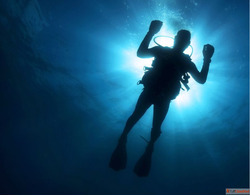 Scuba Diving Courses in Nusa Lembongan