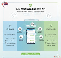Reliable Bulk WhatsApp Business API Messaging Service