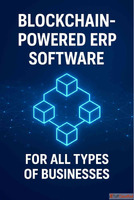 Upgrade Business Operations with Blockchain-Powered ERP Syst...