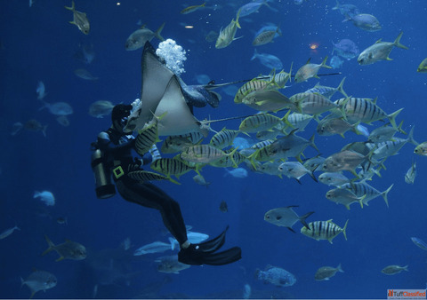 Best Travel Agency Scooty Rental Provider In Andaman