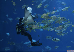 Best Travel Agency Scooty Rental Provider In Andaman