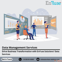 Drive Business Transformation with Data Services from EnFuse...