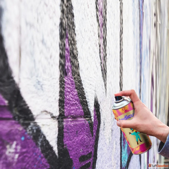 Best DIY Professional Paints For Your Home - Indicus Paints