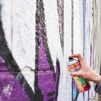 Best DIY Professional Paints For Your Home - Indicus Paints