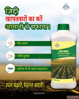 Best Herbicides for Farming Weed Sweep by NACL