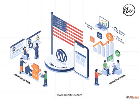 website development company in the USA