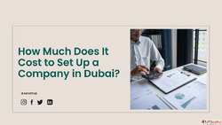 How Much Does It Cost to Set Up a Company in Dubai