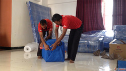 Parcel and Courier Services