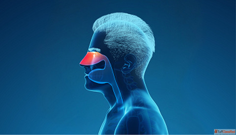 Looking for Ears nose and throst ENT in Ahmedabad