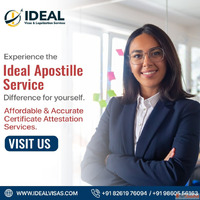 Student Travel Insurance Expert