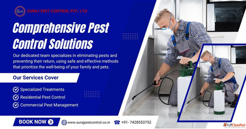 Effective pest control services in Rohini