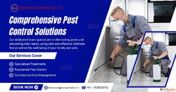 Effective pest control services in Rohini