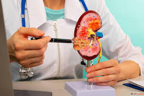 Best Kidney Transplant in Mumbai for Long-Term Kidney Health Dr. Chandan Chaudhari