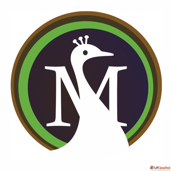 Moreweb Solutions - Best Web Design Company in Ahmedabad