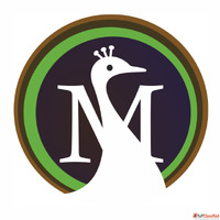 Moreweb Solutions - Best Web Design Company in Ahmedabad