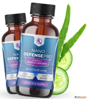 NanoDefense Pro Deliverable