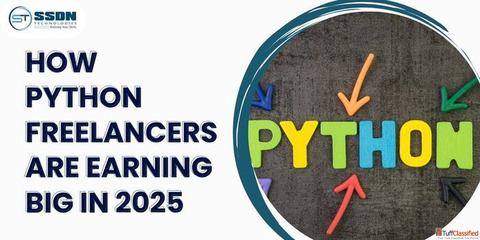 How Python Freelancers Are Earning Big in 2025