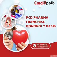 Start Your Business in PCD Pharma Franchise Monopoly Basis i...