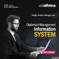 MIS Diploma Course With Certificate