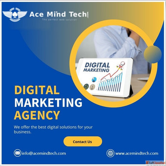 SEO Company In Karol Bagh