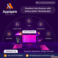 Appspire Solutions Web App Development Company